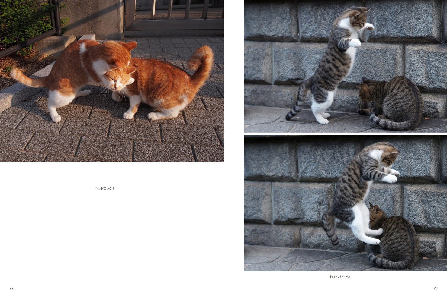 フォトブック 22ページ目