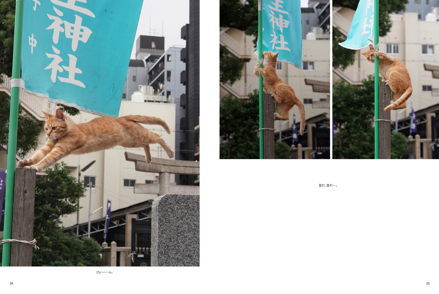 フォトブック 34ページ目