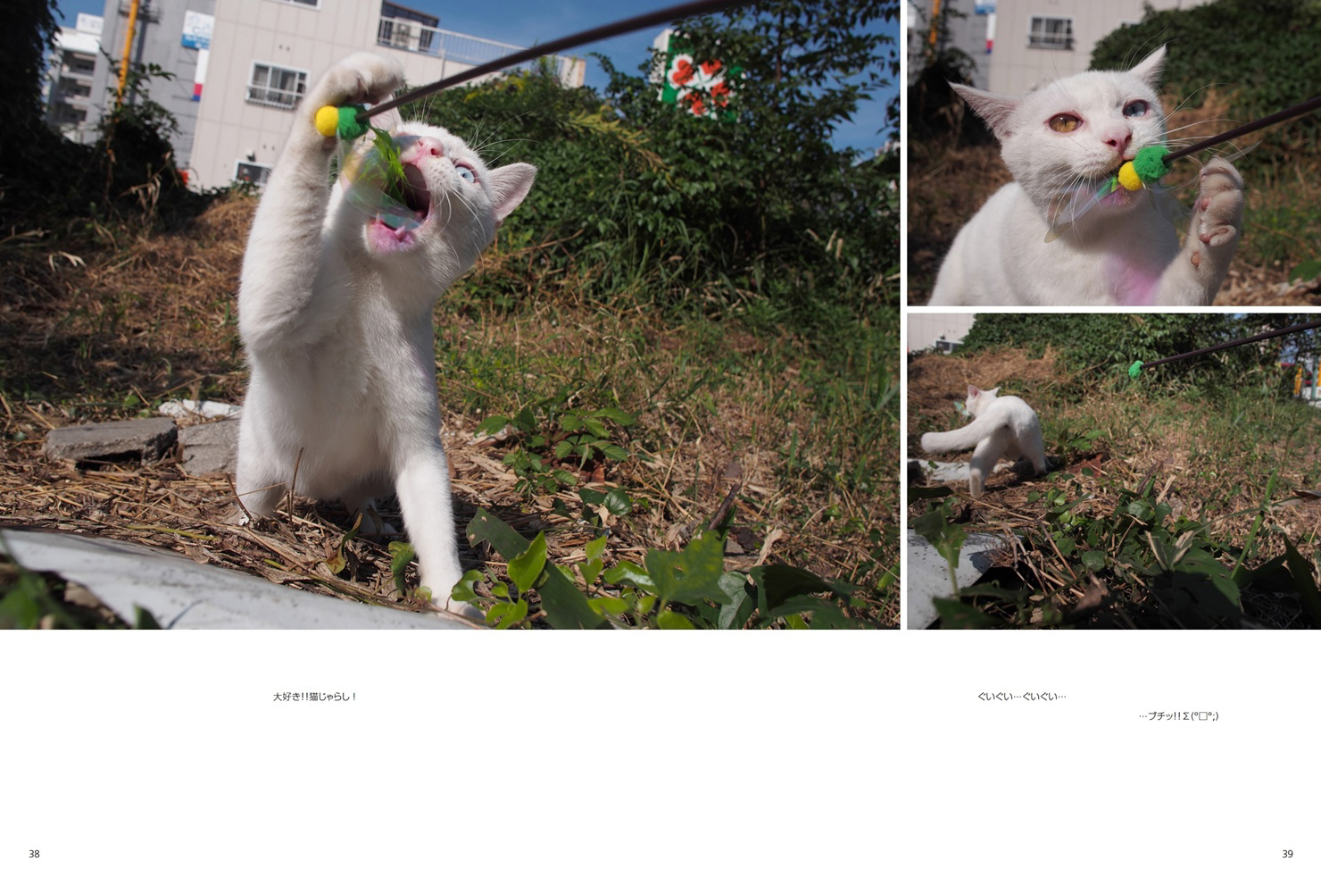 フォトブック 38ページ目