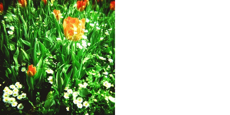 フォトブック 34ページ目