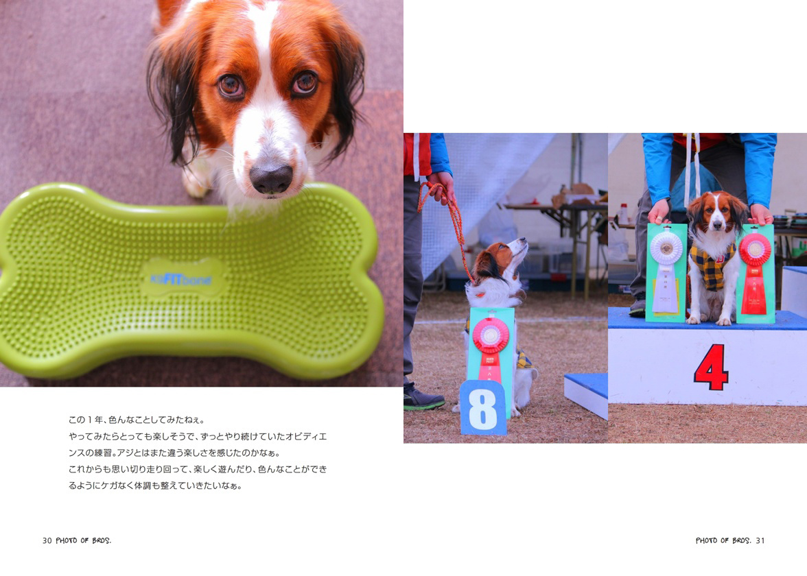 フォトブック 30ページ目