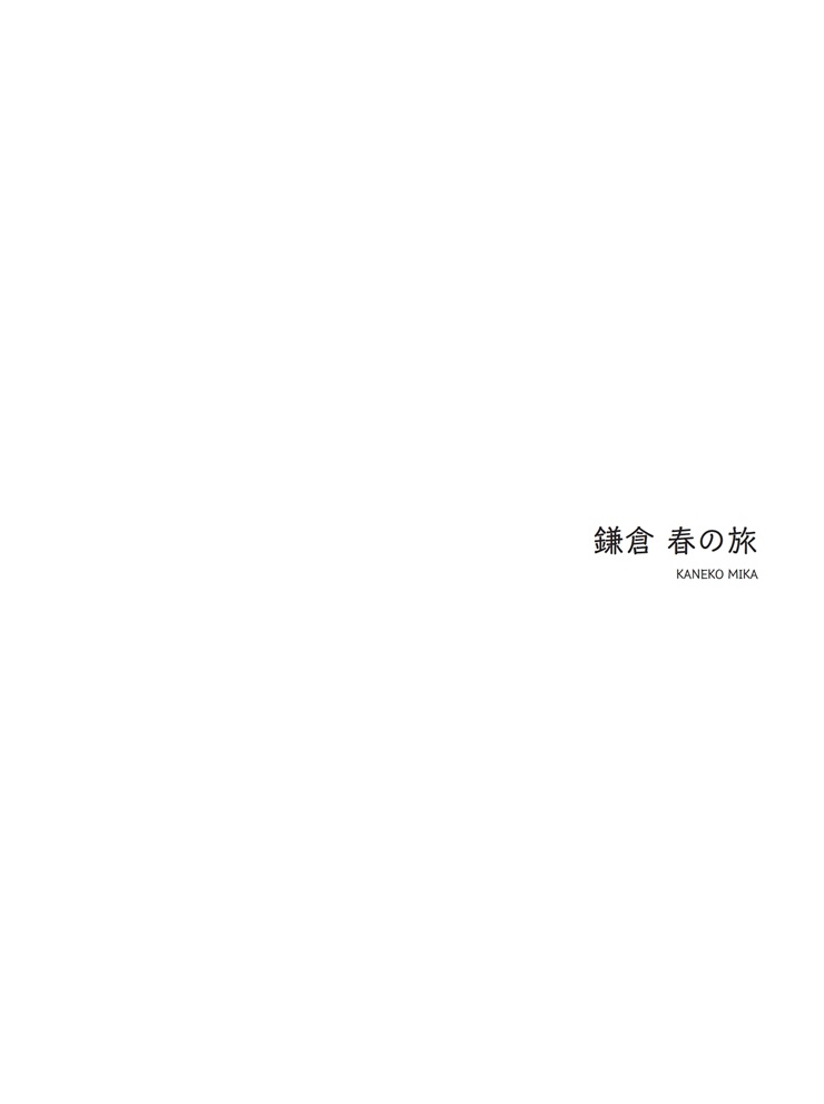 フォトブック 扉