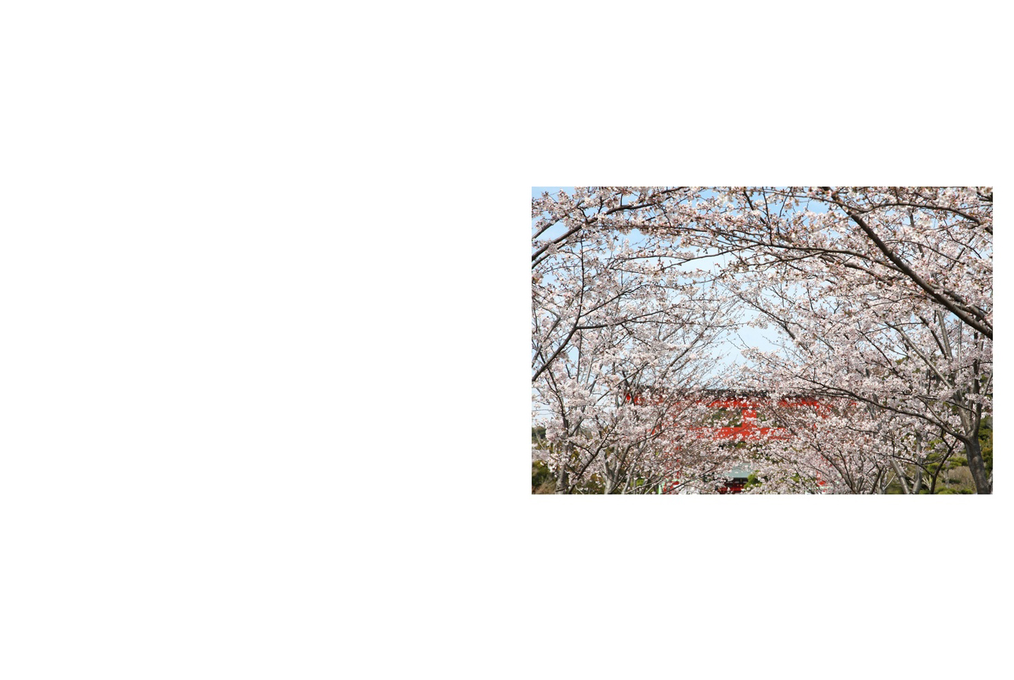 フォトブック 2ページ目