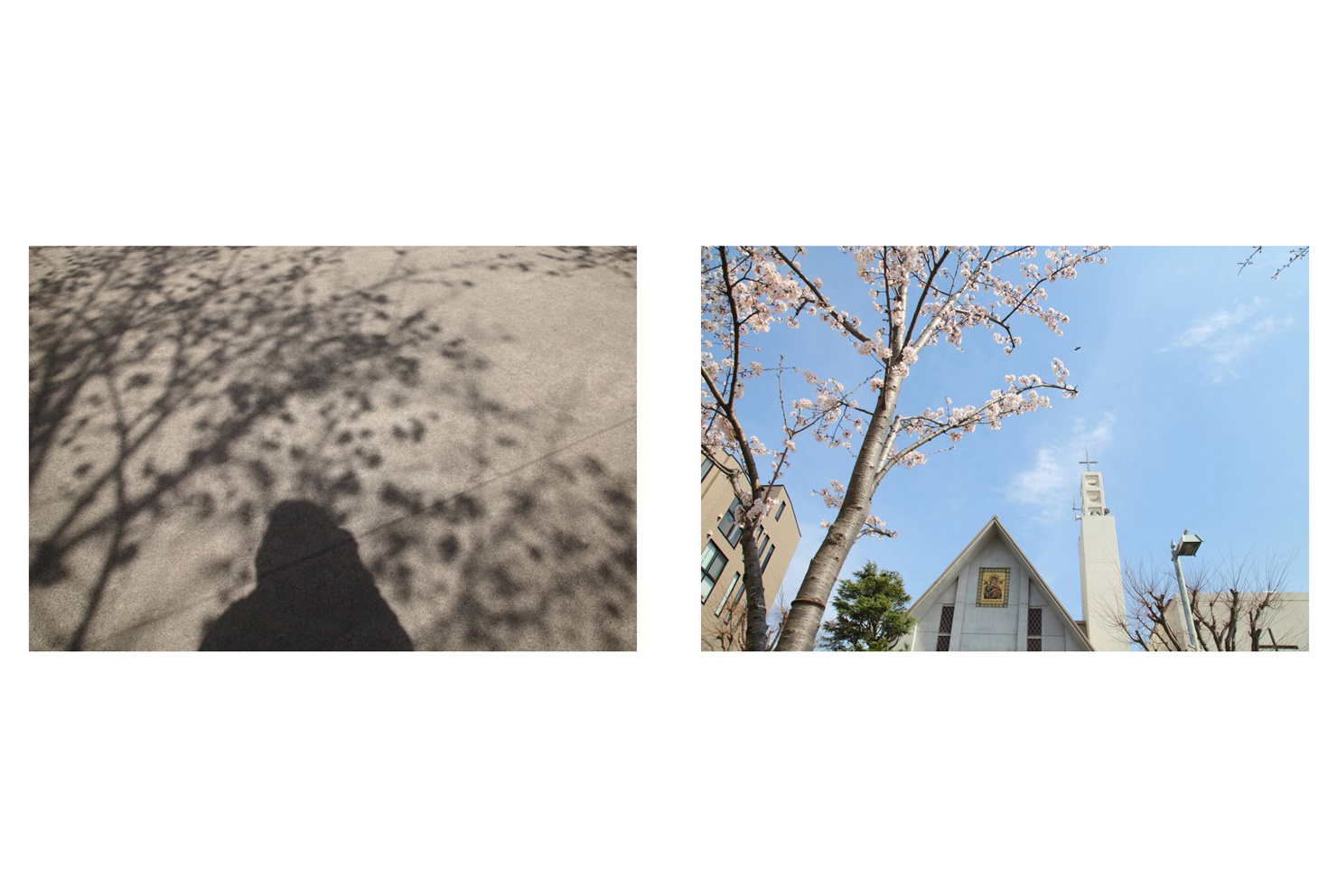 フォトブック 4ページ目