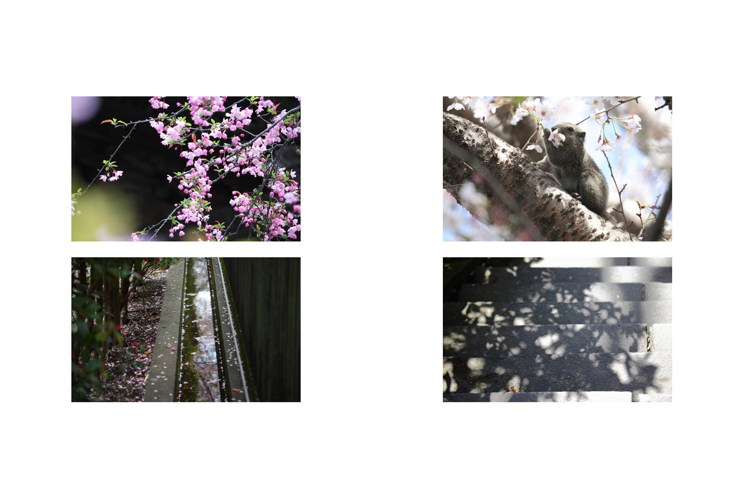 フォトブック 56ページ目