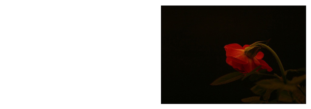 フォトブック 2ページ目