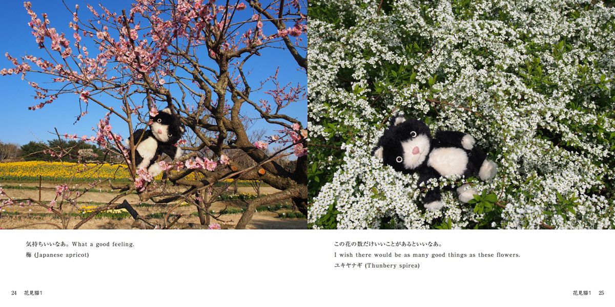 フォトブック 24ページ目