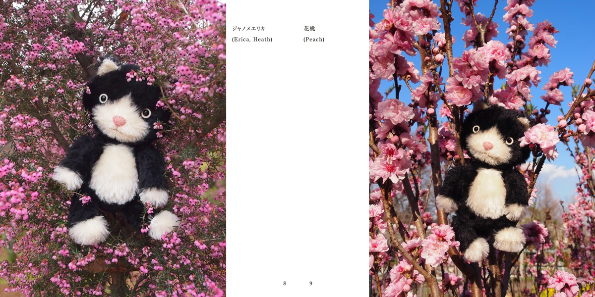 フォトブック 8ページ目