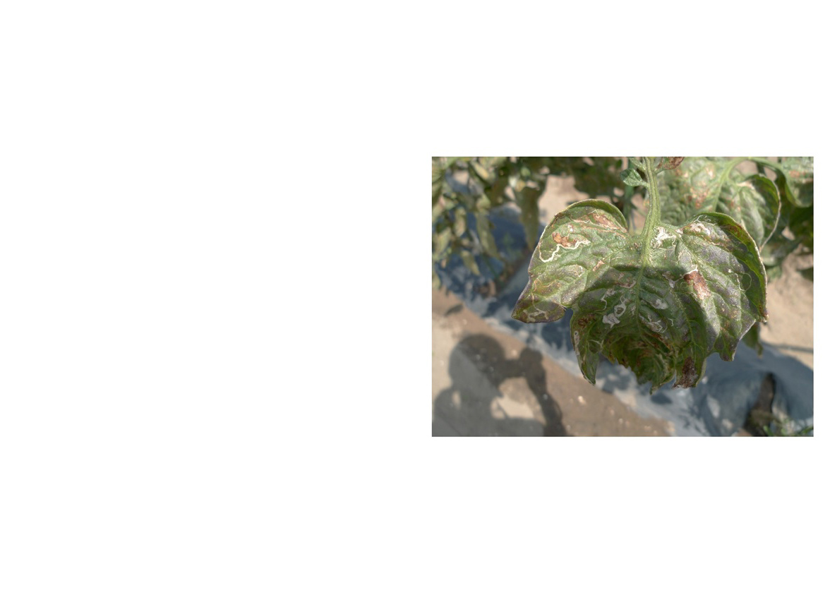 フォトブック 30ページ目