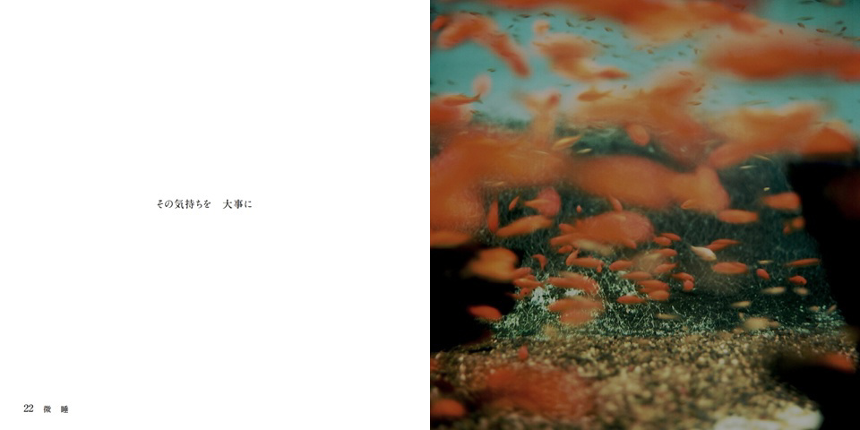 フォトブック 22ページ目
