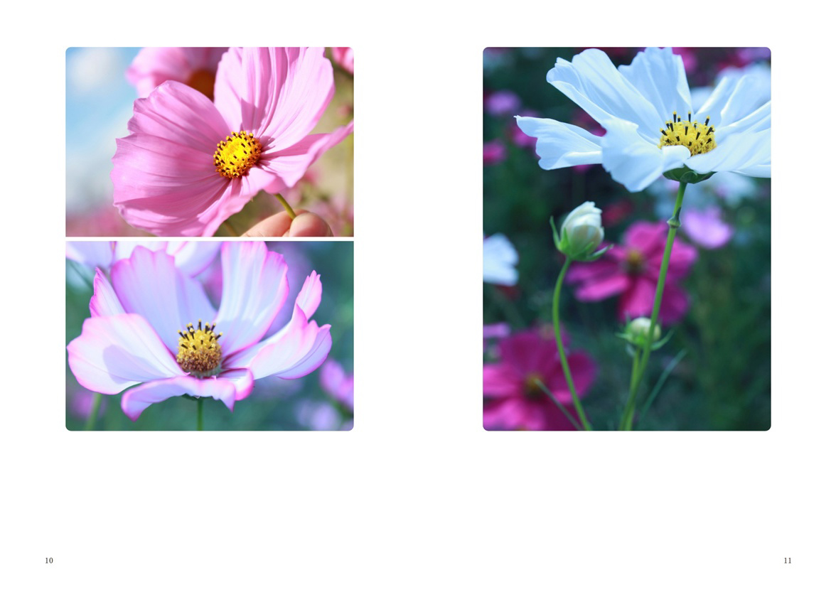 フォトブック 10ページ目