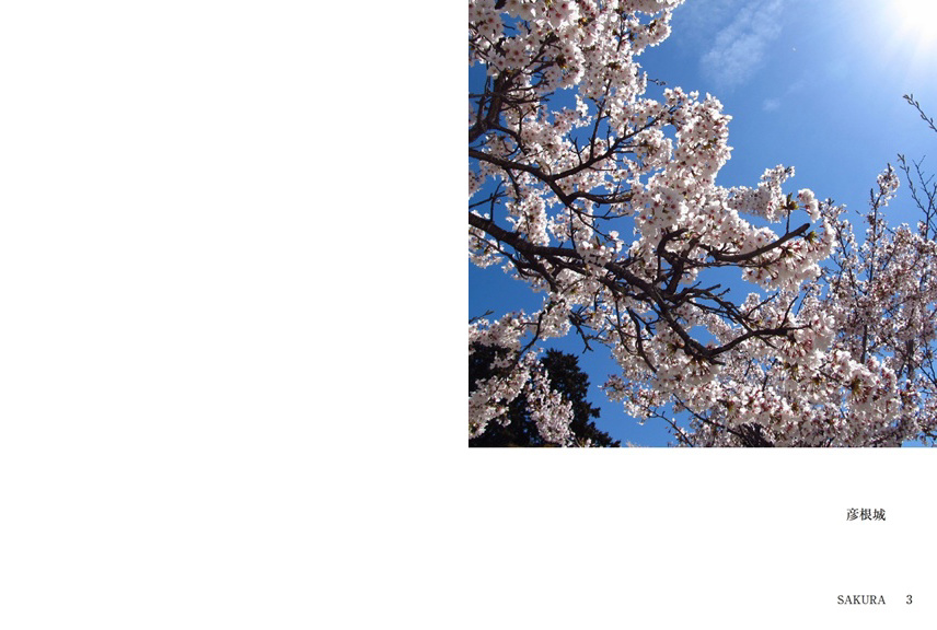 フォトブック 2ページ目