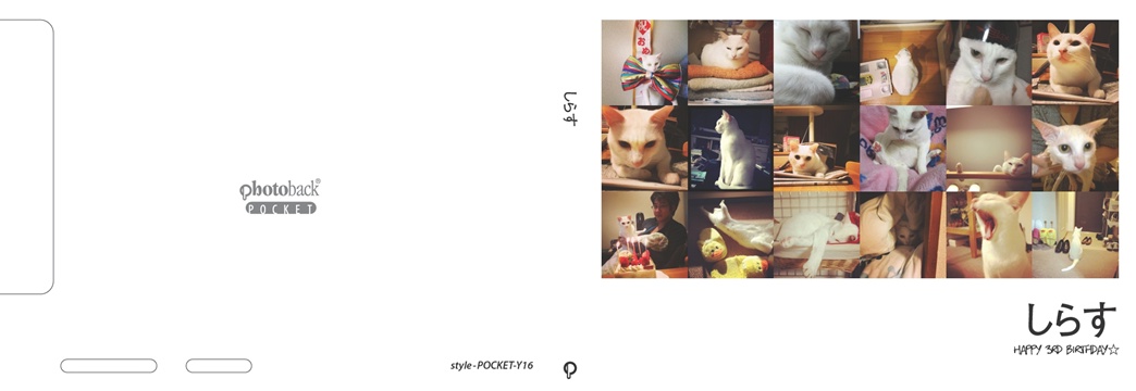 フォトブック ジャケット