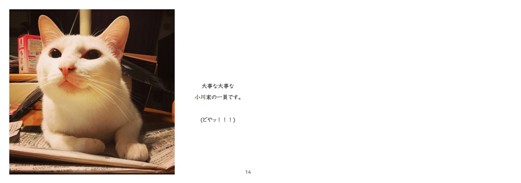 フォトブック 14ページ目