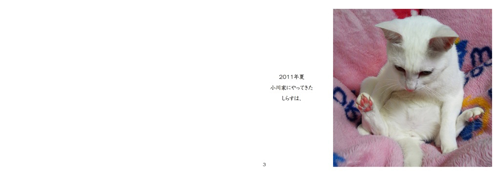 フォトブック 2ページ目