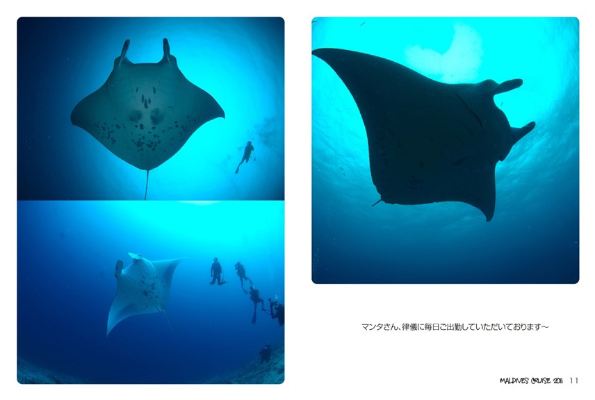 フォトブック 10ページ目