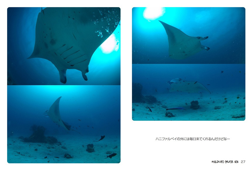 フォトブック 26ページ目
