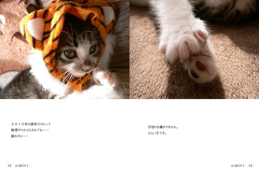 フォトブック 12ページ目