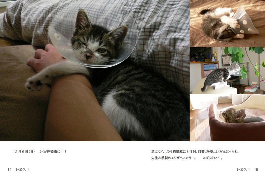 フォトブック 14ページ目