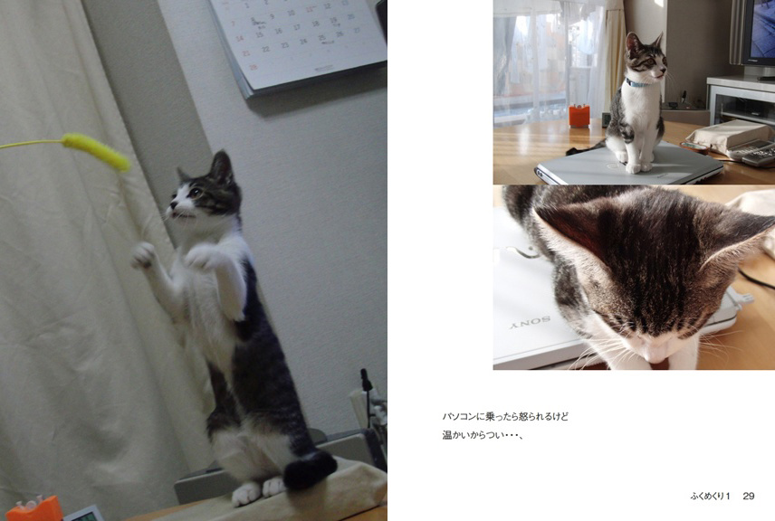 フォトブック 28ページ目
