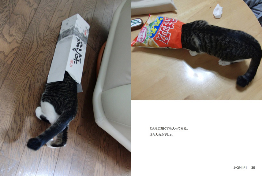 フォトブック 38ページ目