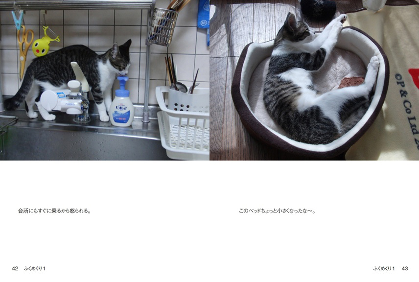 フォトブック 42ページ目