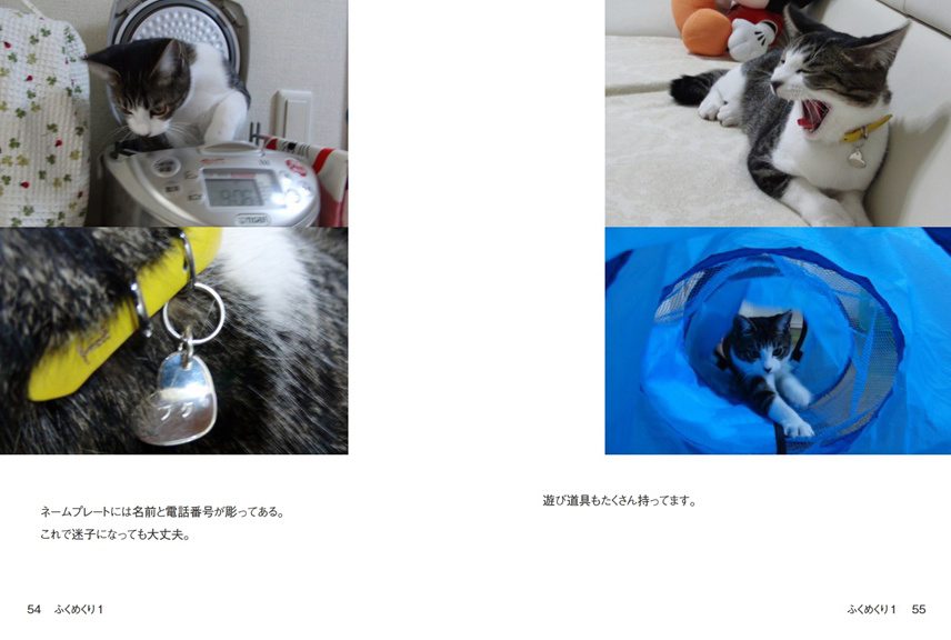 フォトブック 54ページ目