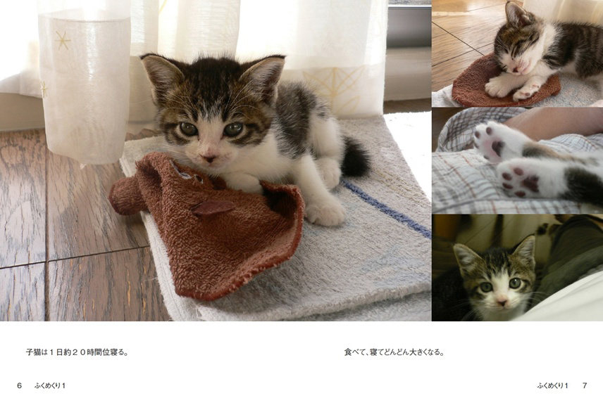フォトブック 6ページ目