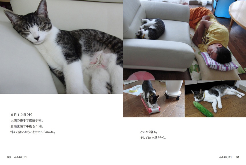 フォトブック 60ページ目