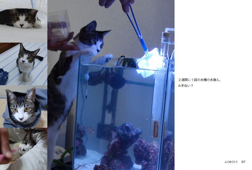 フォトブック 66ページ目
