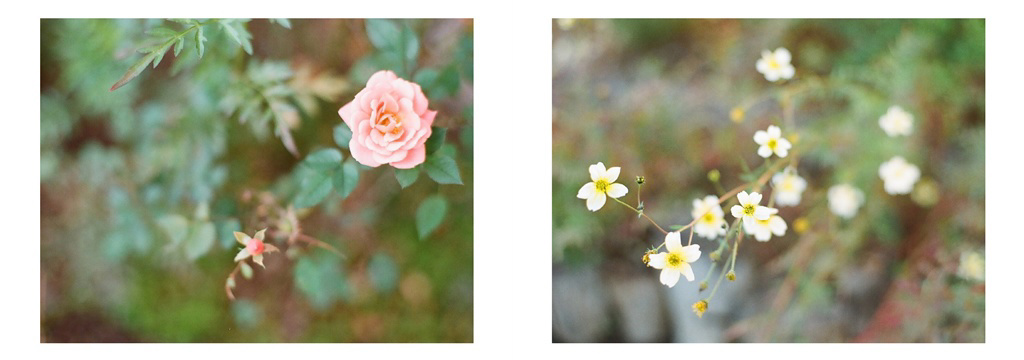 フォトブック 16ページ目