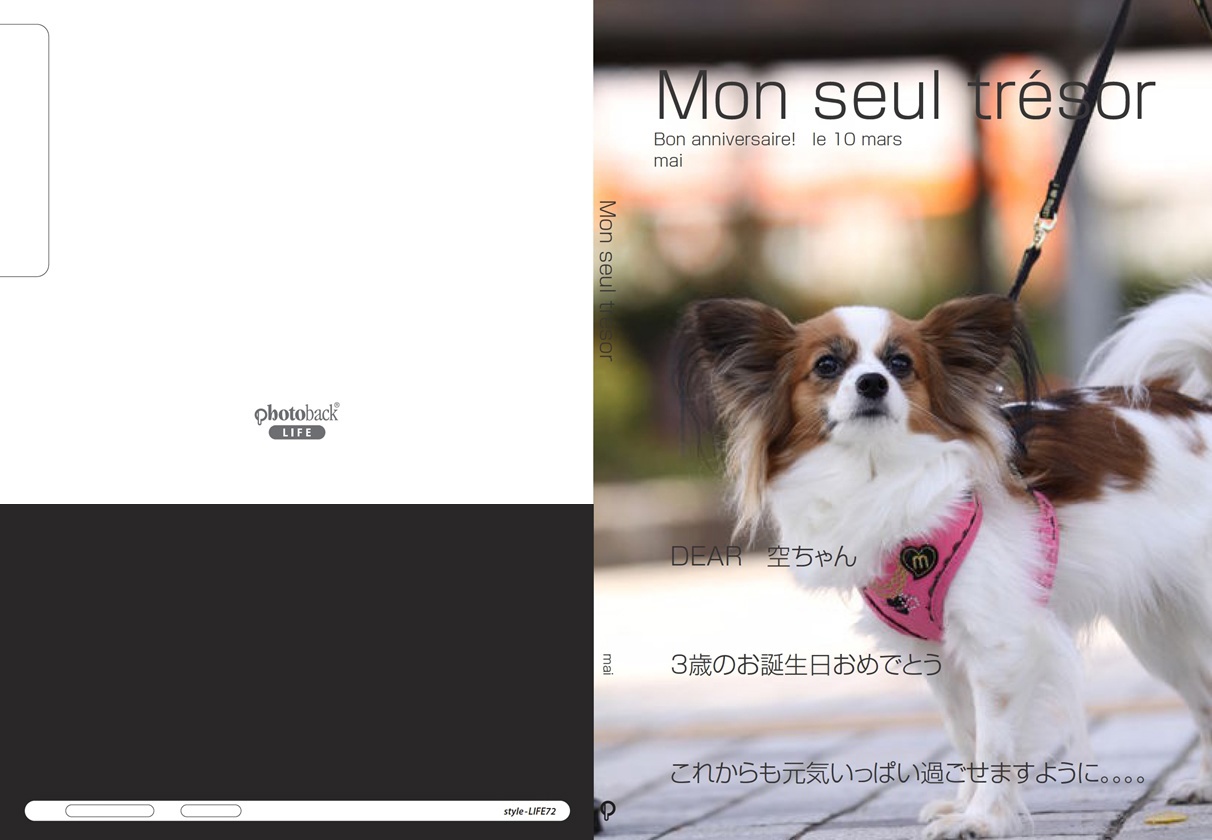 フォトブック ジャケット
