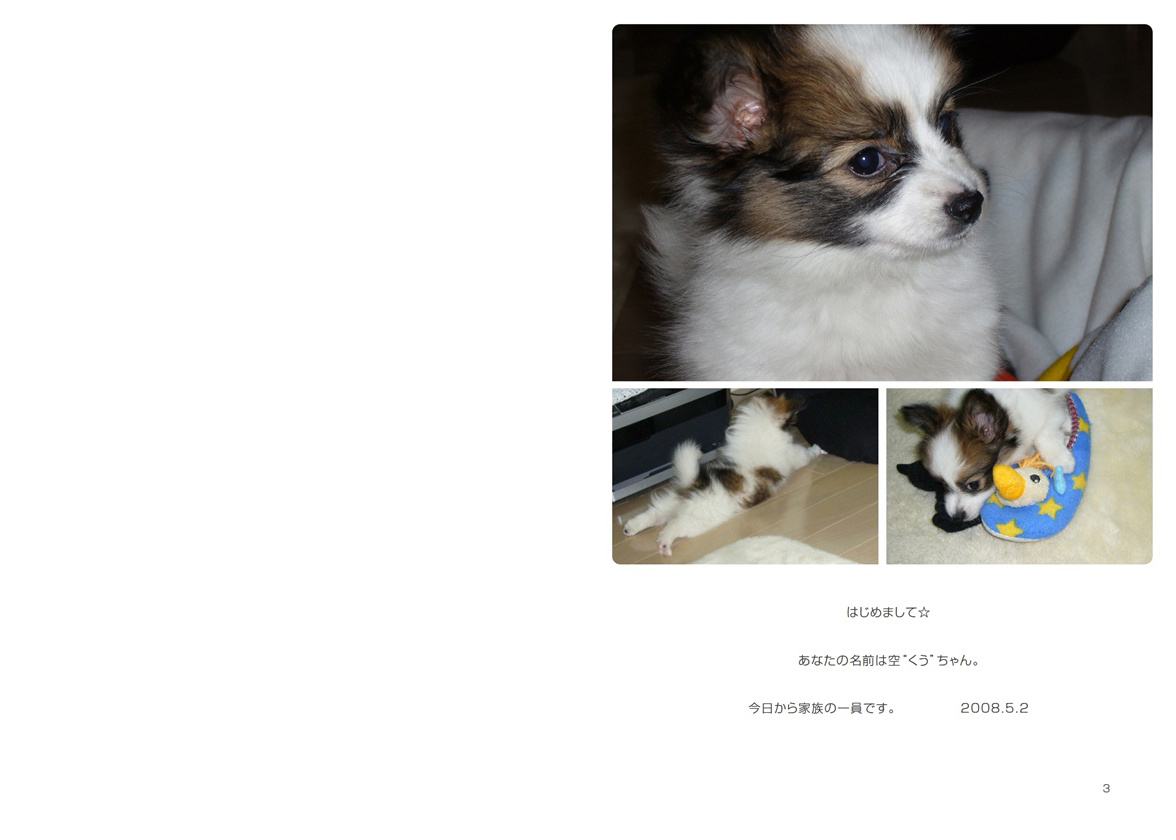フォトブック 2ページ目