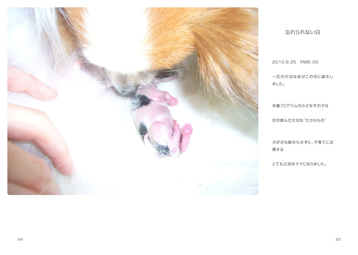 フォトブック 24ページ目
