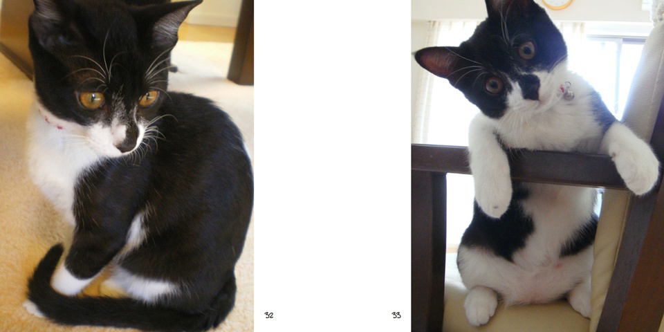 フォトブック 32ページ目