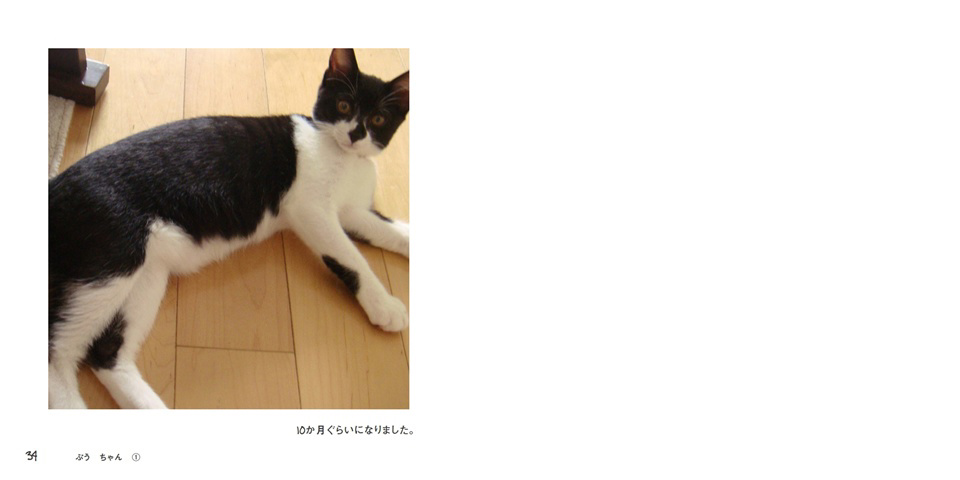 フォトブック 34ページ目
