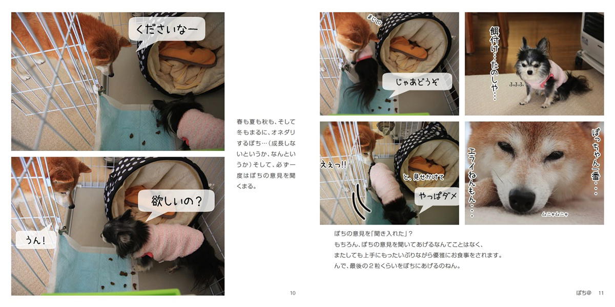 フォトブック 10ページ目