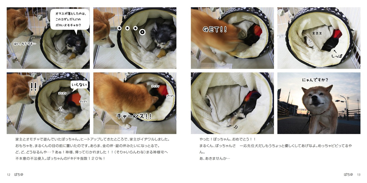 フォトブック 12ページ目