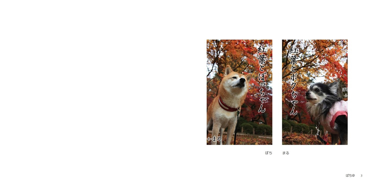 フォトブック 2ページ目