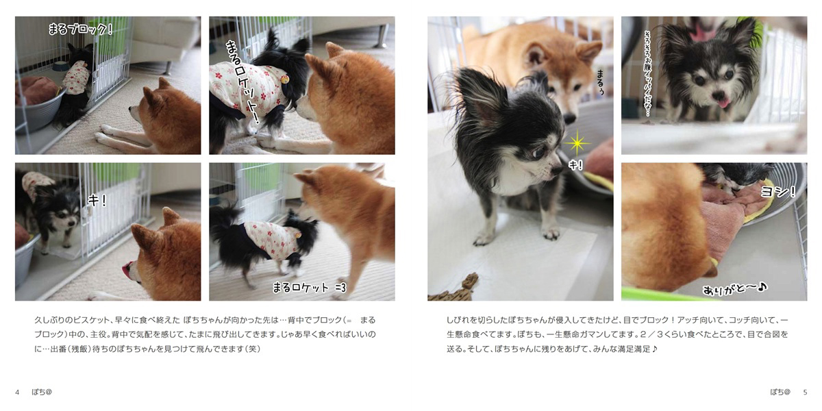 フォトブック 4ページ目