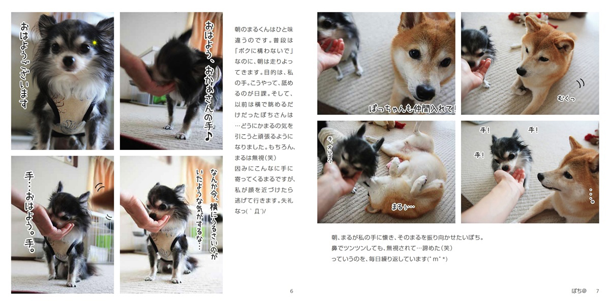 フォトブック 6ページ目