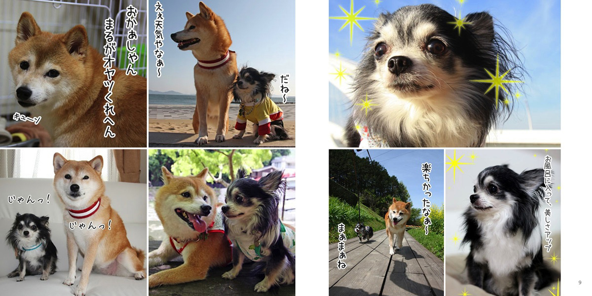 フォトブック 8ページ目