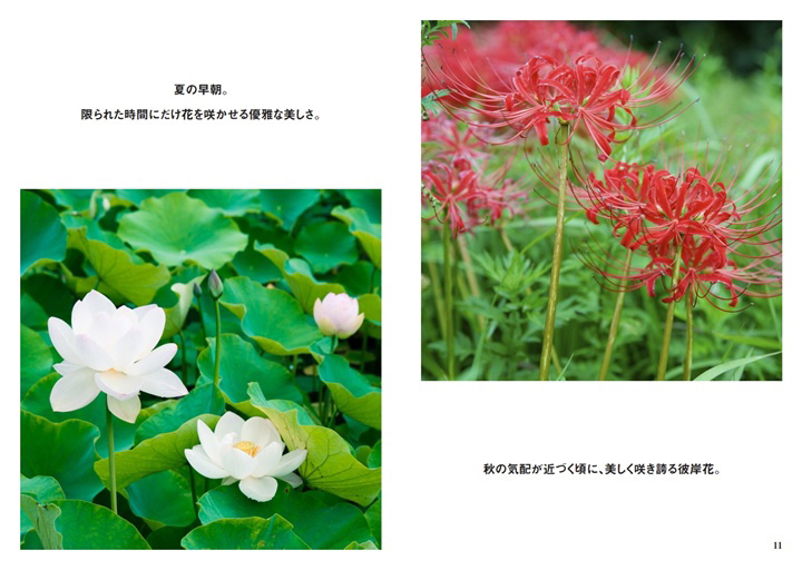 フォトブック 10ページ目