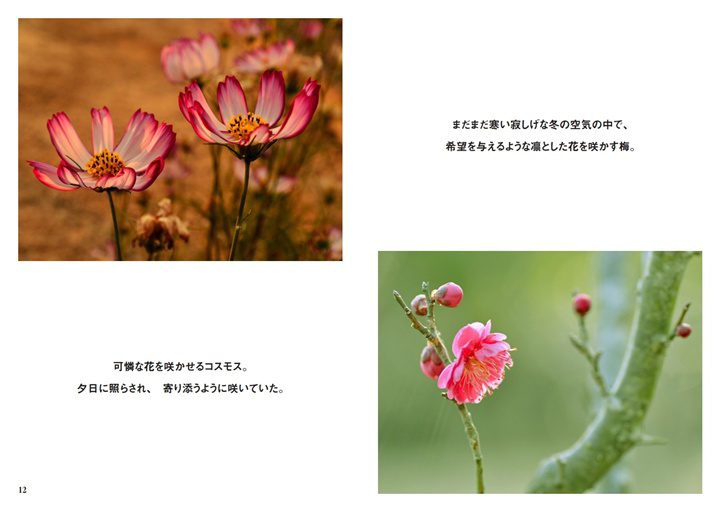 フォトブック 12ページ目