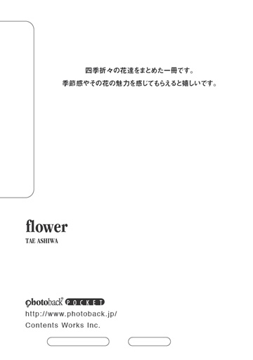 フォトブック ジャケット裏