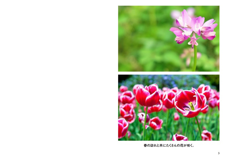 フォトブック 2ページ目