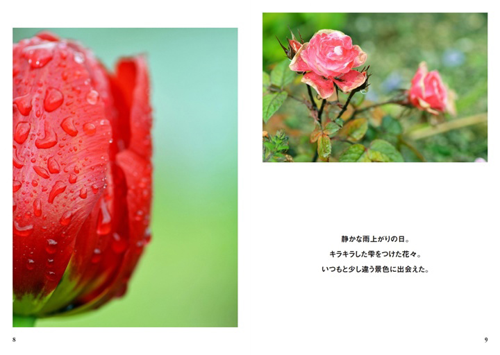 フォトブック 8ページ目