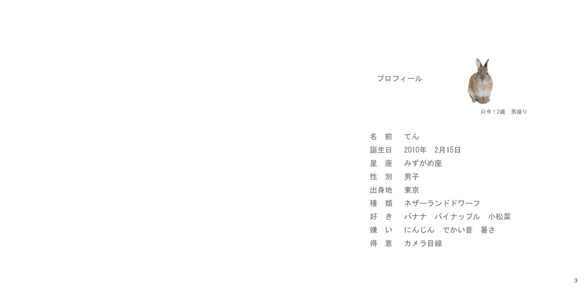 フォトブック 2ページ目
