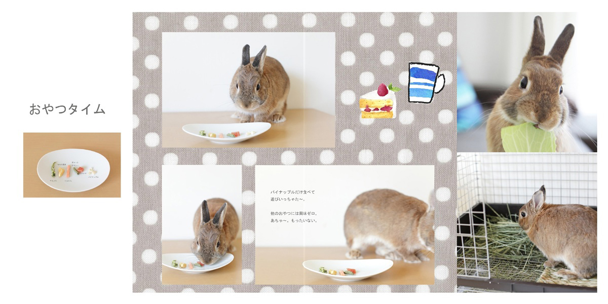 フォトブック 22ページ目