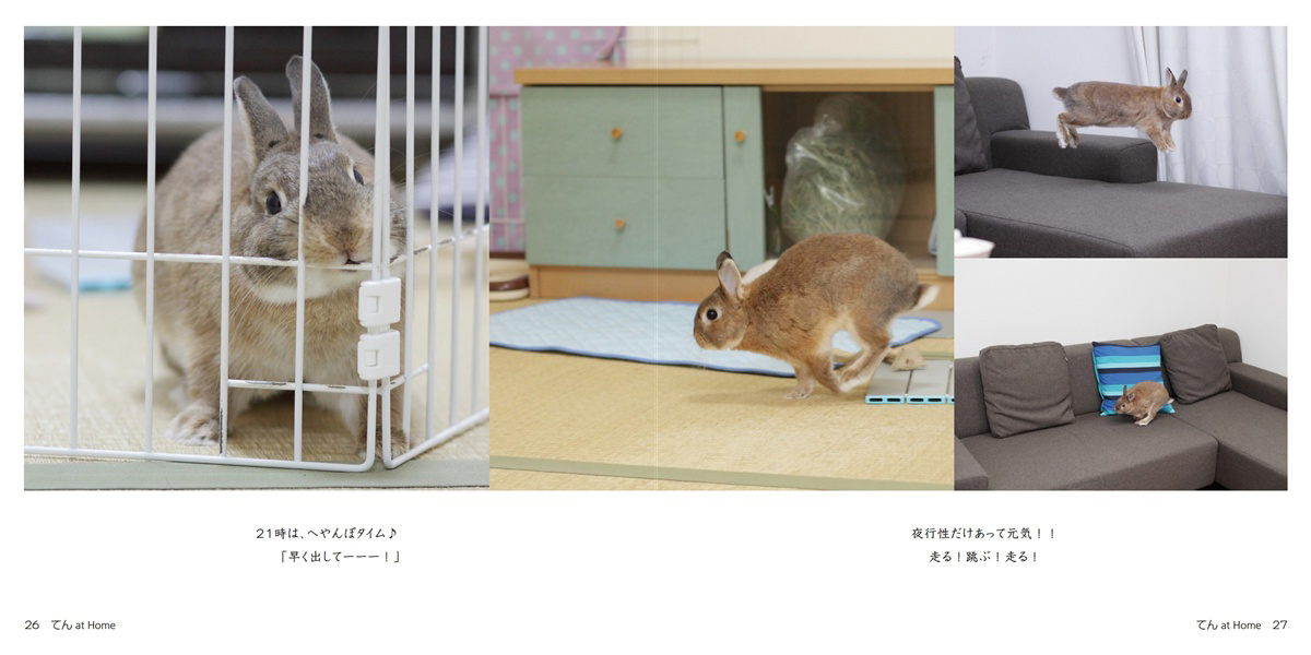 フォトブック 26ページ目